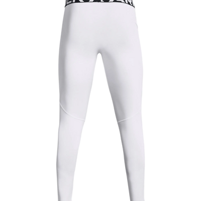 UA Mens Leggings ColdGear — back view